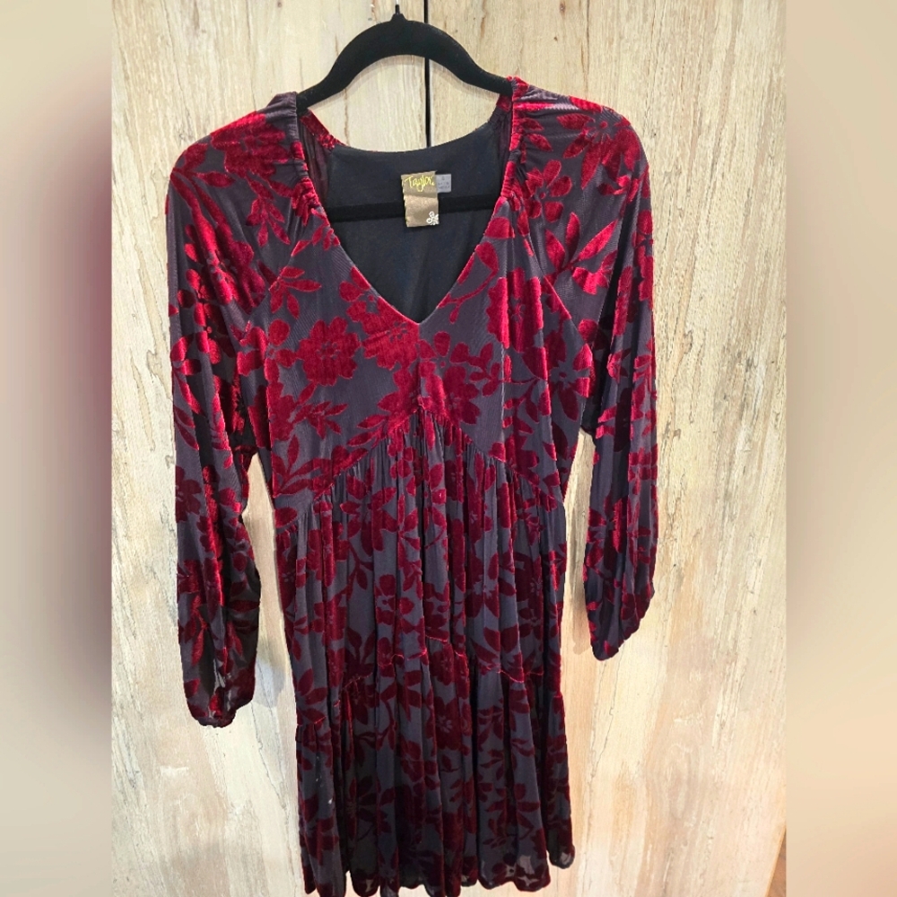 Taylor Dress Size 8 Velvet Overlay